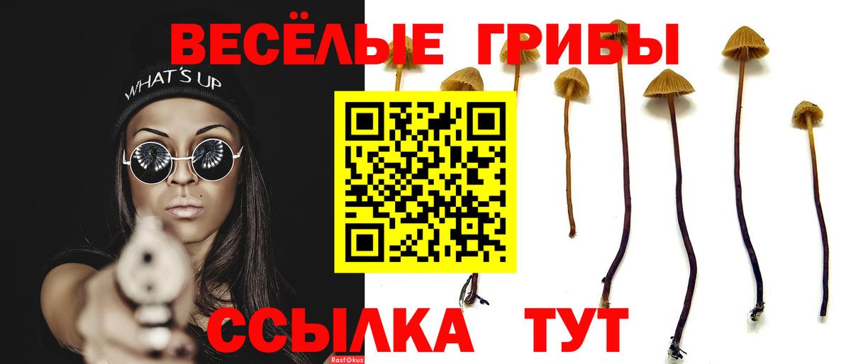 Белая Калитва  Галлюциногенные грибы ЛСД  Вход с VPN 
